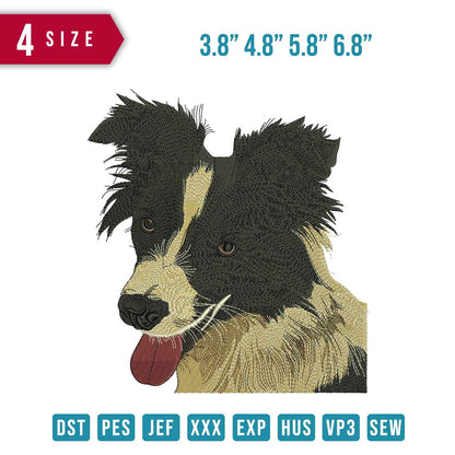 Dog Hairy Dry