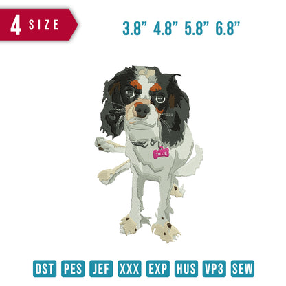 Dog Halloween B