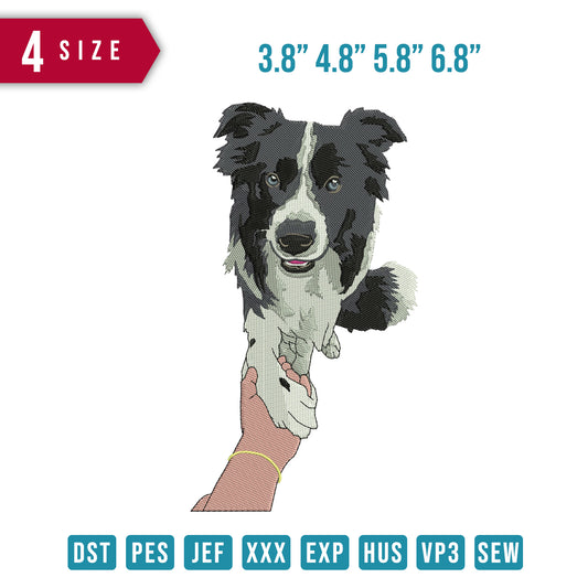 Dog Hand shake