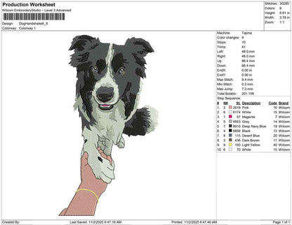 Dog Hand shake