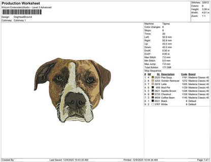 Dog Head Brown