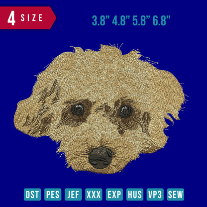 Dog Head Maltipoo