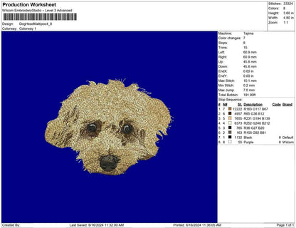 Dog Head Maltipoo