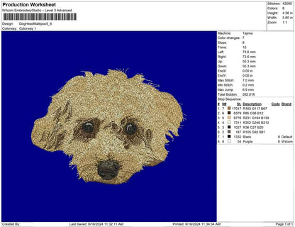 Dog Head Maltipoo