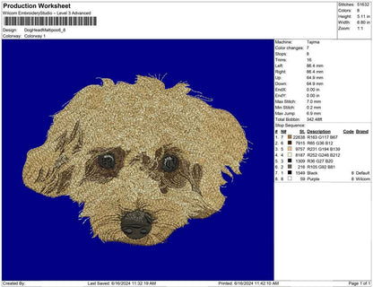 Dog Head Maltipoo