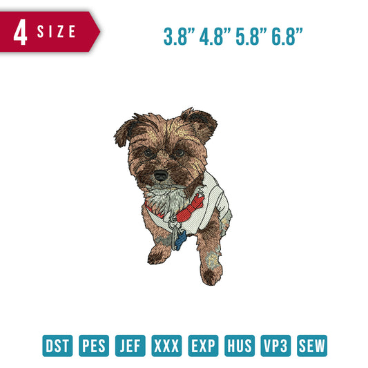 Dog in shirt