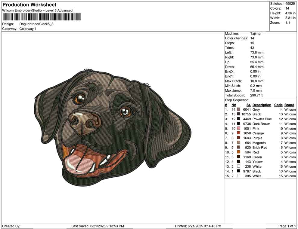 Dog Labrador Black