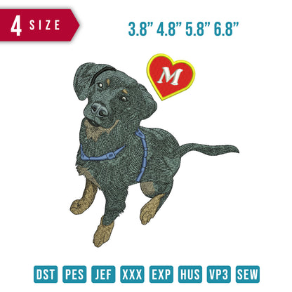 DogM B