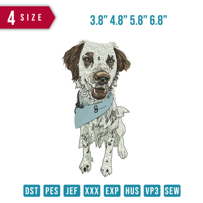 Dog RRY