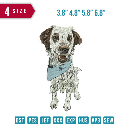 Dog RRY