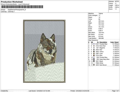Dog siberian photographic