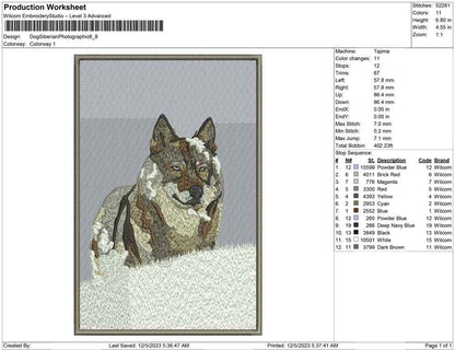 Dog siberian photographic