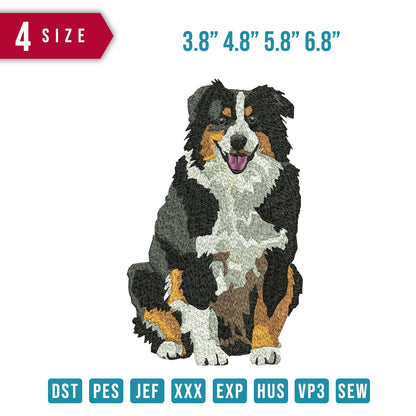 Dog Tick Fur B