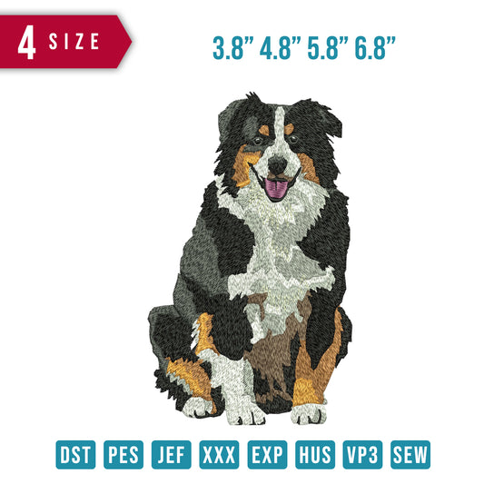 Dog Tick Fur B