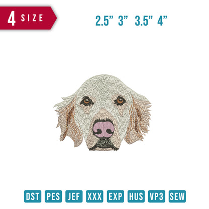 Dog white face
