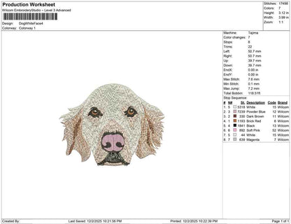 Dog white face