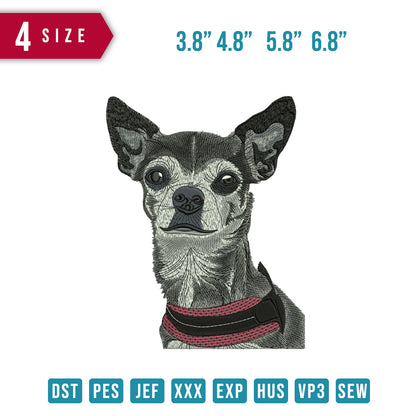 Dog With necklace