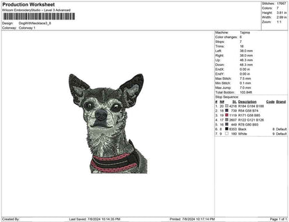 Dog With necklace