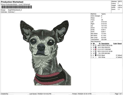 Dog With necklace