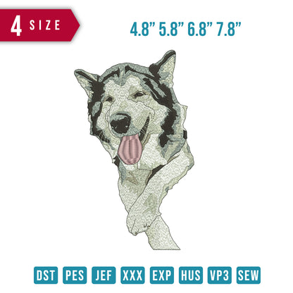 Dog pop running