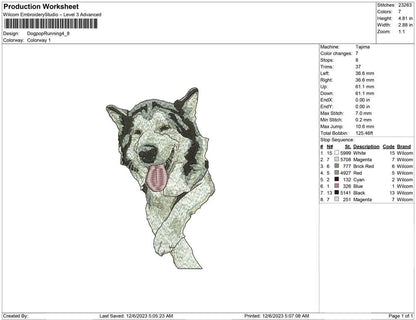 Dog pop running