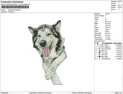 Dog pop running
