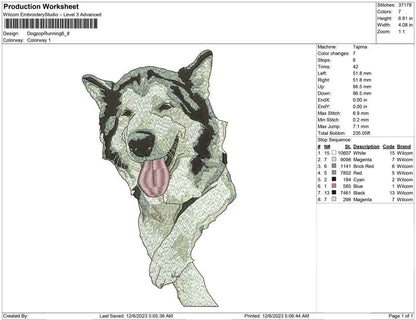 Dog pop running