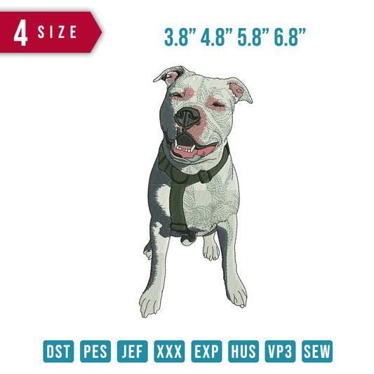 Dogs lanted eyes