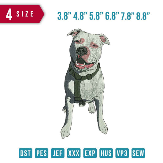 Dogs lanted eyes