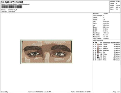 Eyes Panel