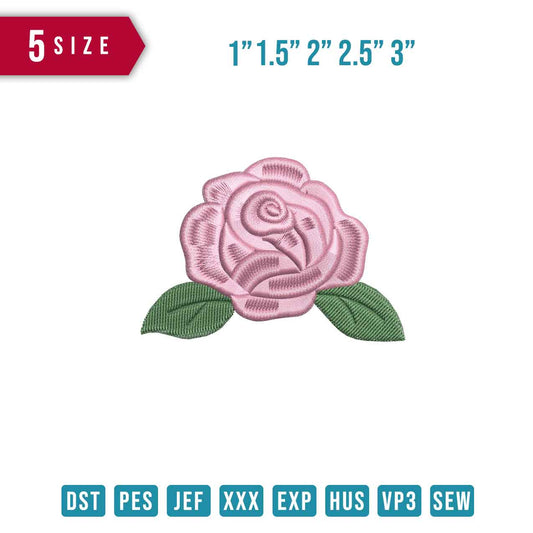 Flower Roses Pink