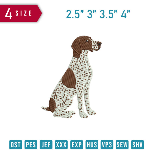 German Shorthaired Pointer C