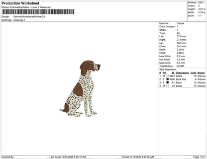 German Shorthaired Pointer C