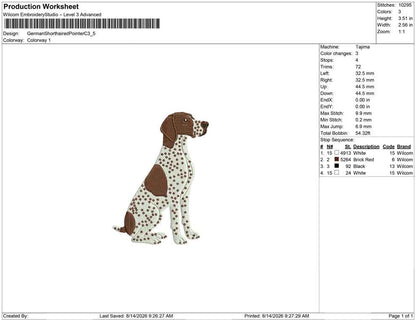 German Shorthaired Pointer C