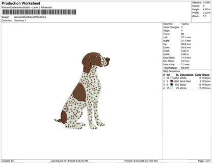 German Shorthaired Pointer C