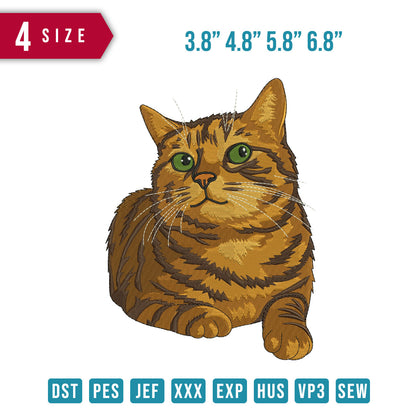 Ginger Cat
