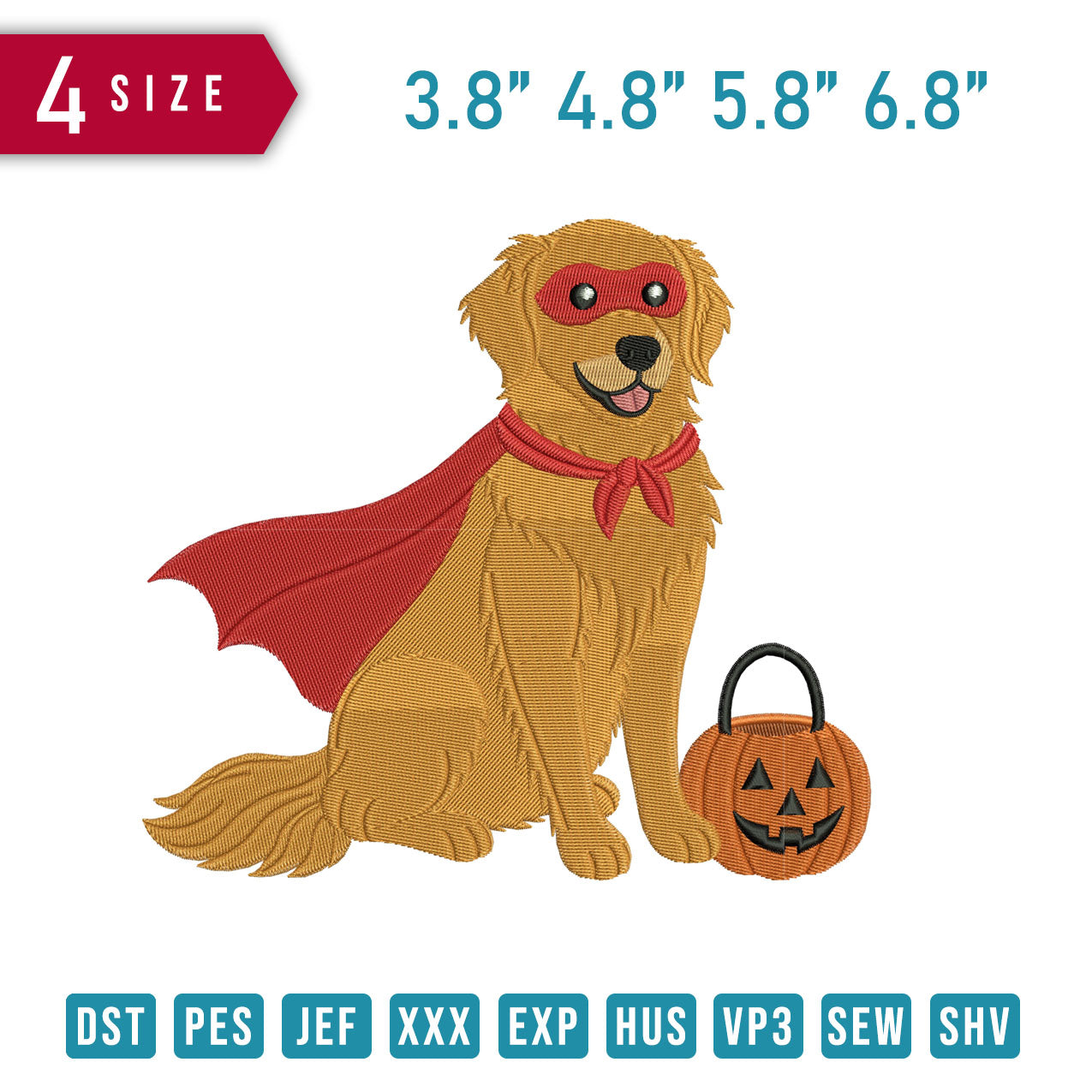 Golden Retriever Dog Pumpkin B
