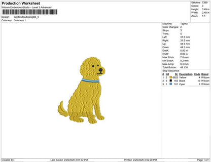 Golden doodle Dog B