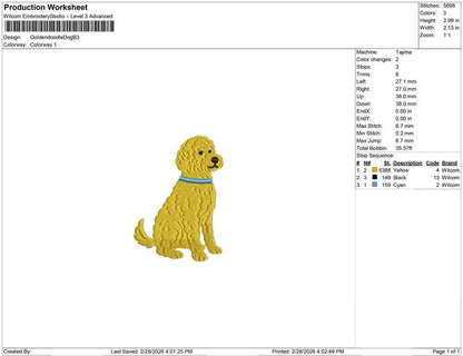Golden doodle Dog B