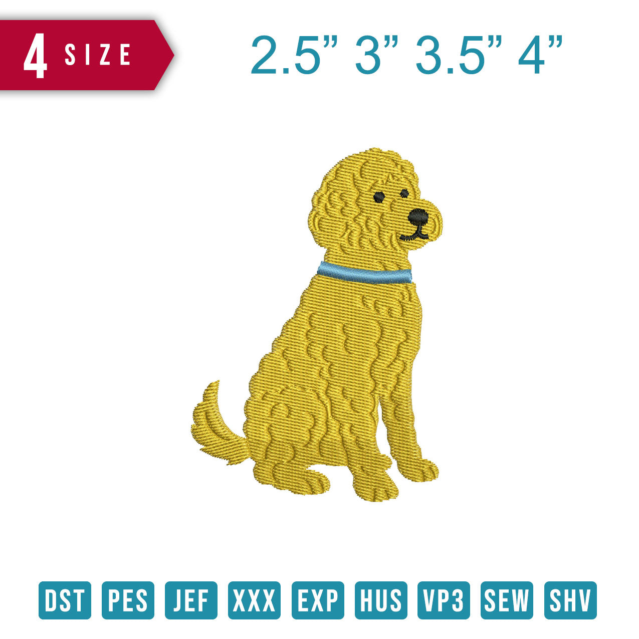 Golden doodle Dog B