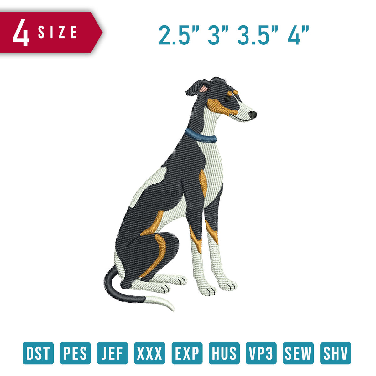 Greyhound Dog C