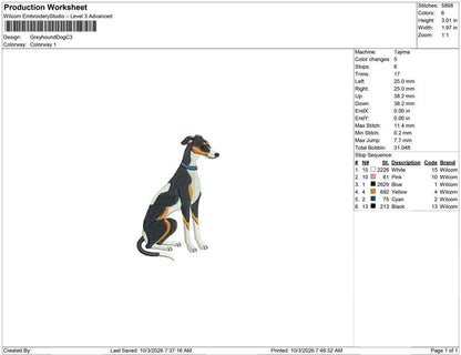 Greyhound Dog C