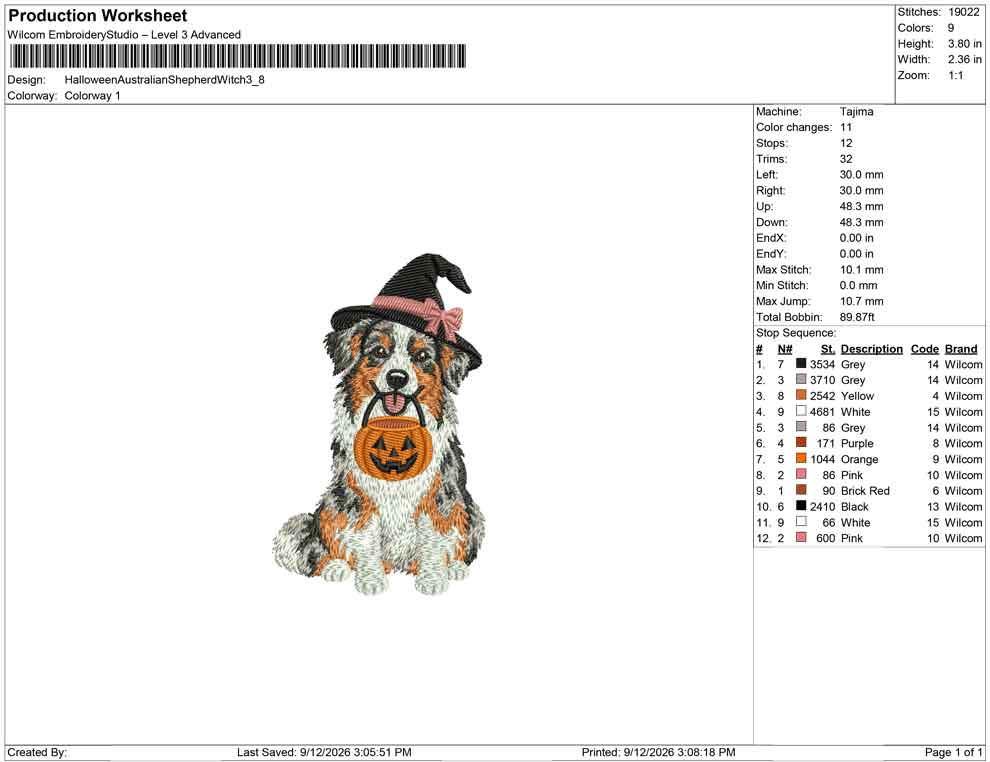 Halloween Australian Shepherd Hexe