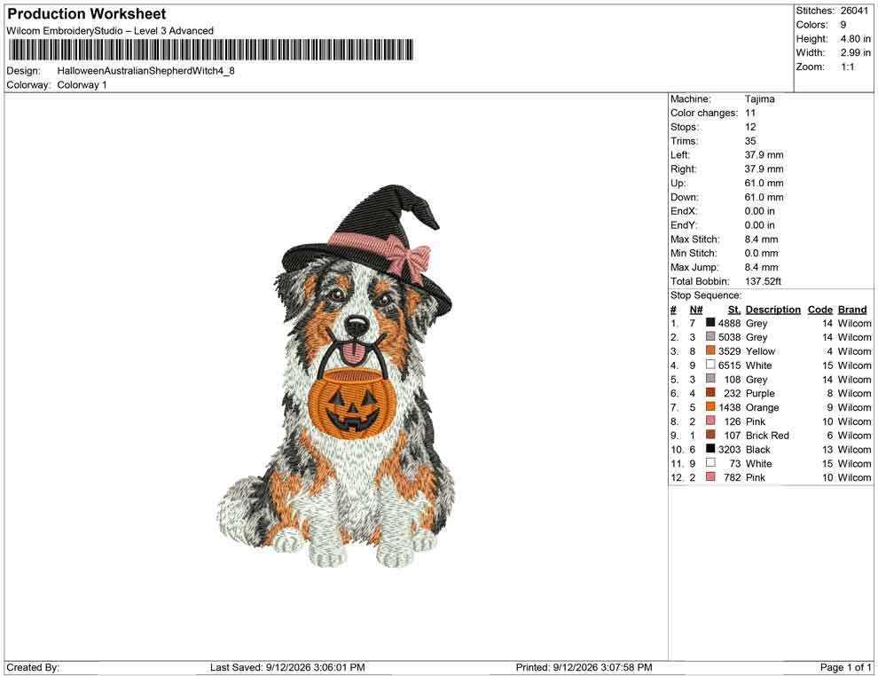 Halloween Australian Shepherd Hexe