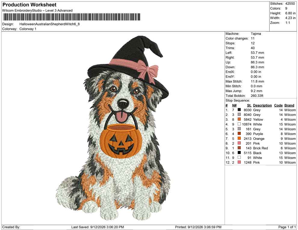 Halloween Australian Shepherd Hexe