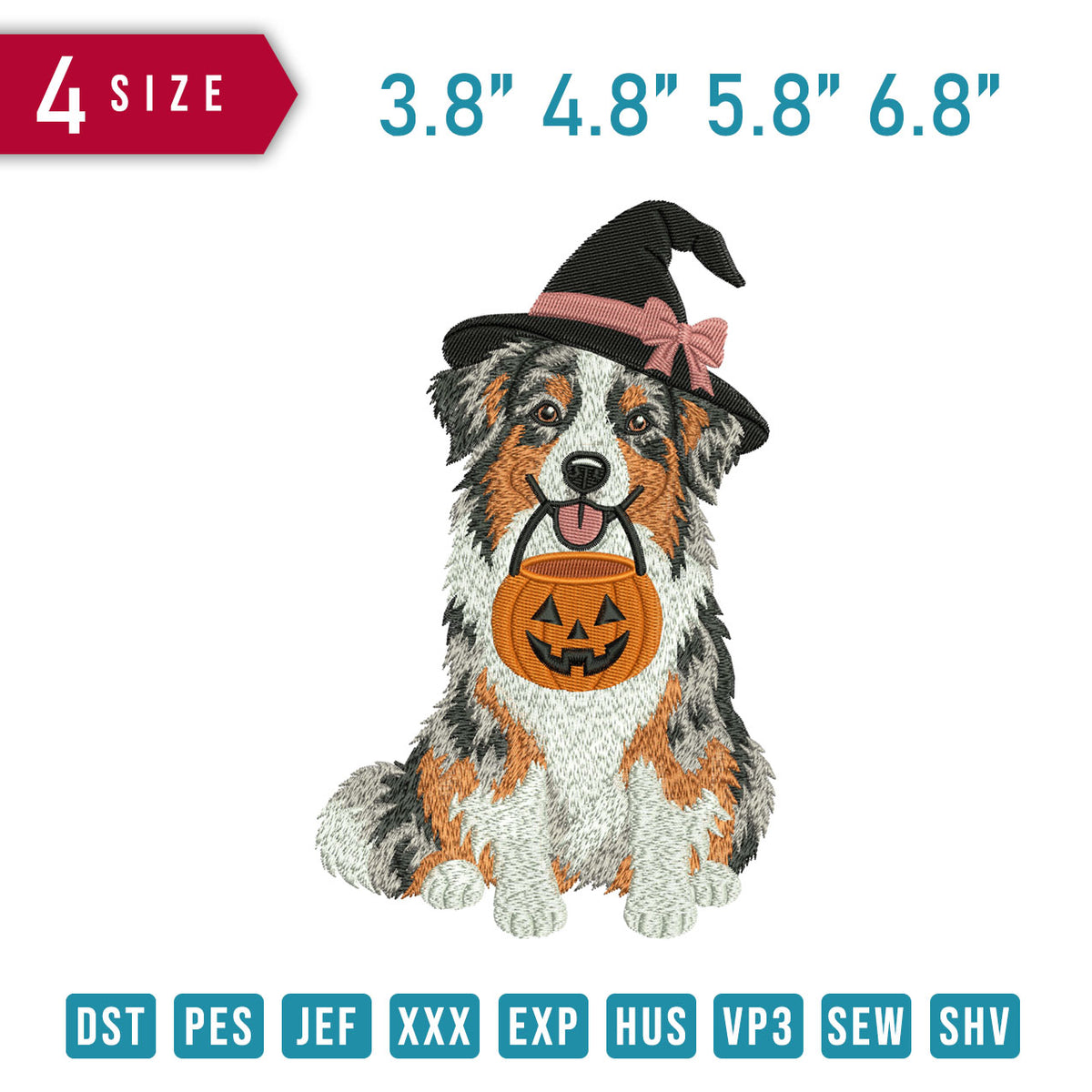 Halloween Australian Shepherd Hexe