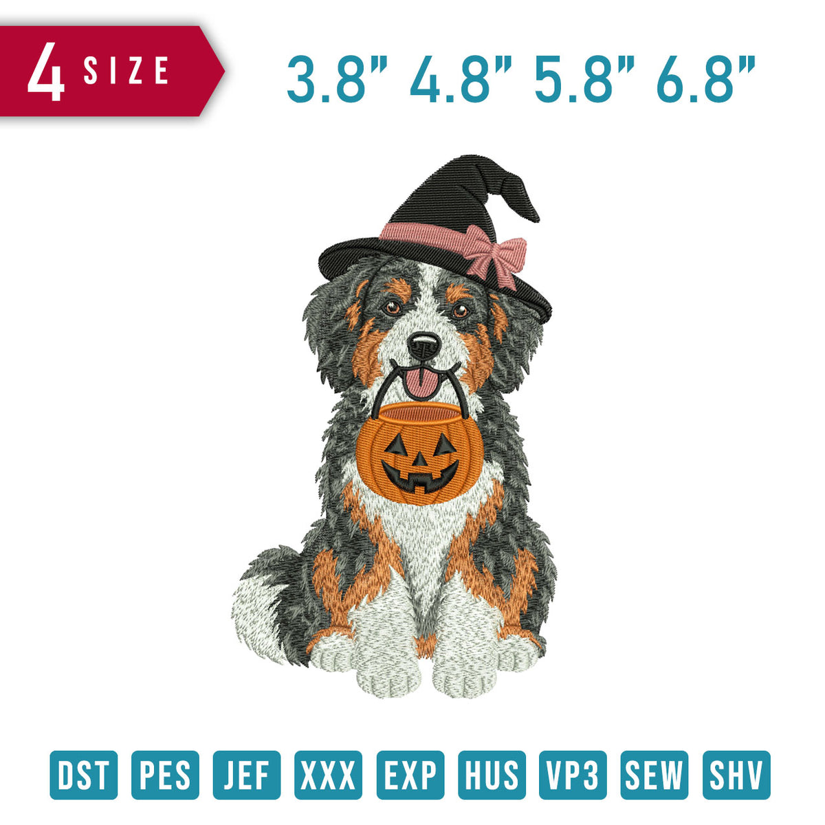 Halloween Bernese Mountain Witch