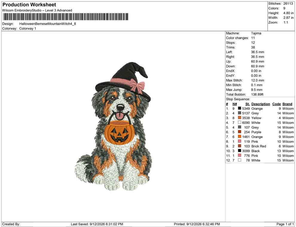 Halloween Bernese Mountain Witch