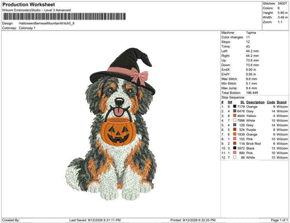 Halloween Bernese Mountain Witch