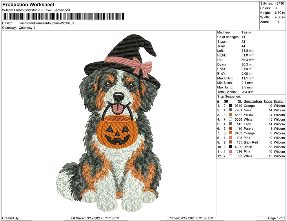 Halloween Bernese Mountain Witch
